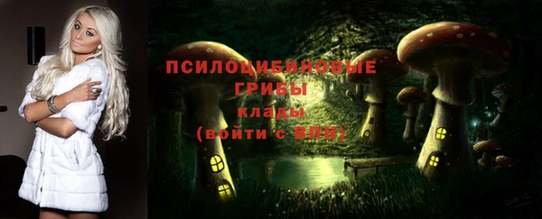 прущие крисы Абинск
