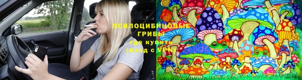 прущие крисы Абинск