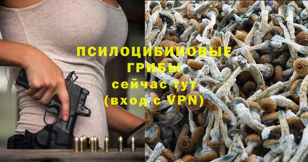 меф Приозерск