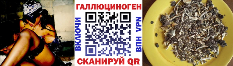 Псилоцибиновые грибы Magic Shrooms  сколько стоит  Тырныауз 